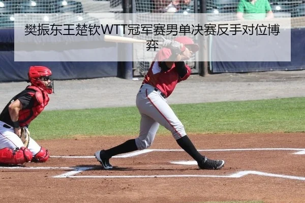 fan-zhen-dong-wang-chu-qin-guan-jun-sai-nan-dan-jue-sai-fan-shou-dui-wei-bo-yi-2-982.jpg