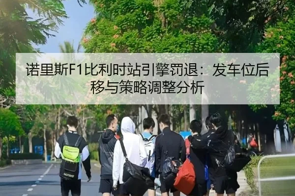 nuo-li-si-bi-li-shi-zhan-yin-qing-fa-tui-fa-che-wei-hou-yi-yu-ce-lve-tiao-zheng-fen-xi-2-913.jpg